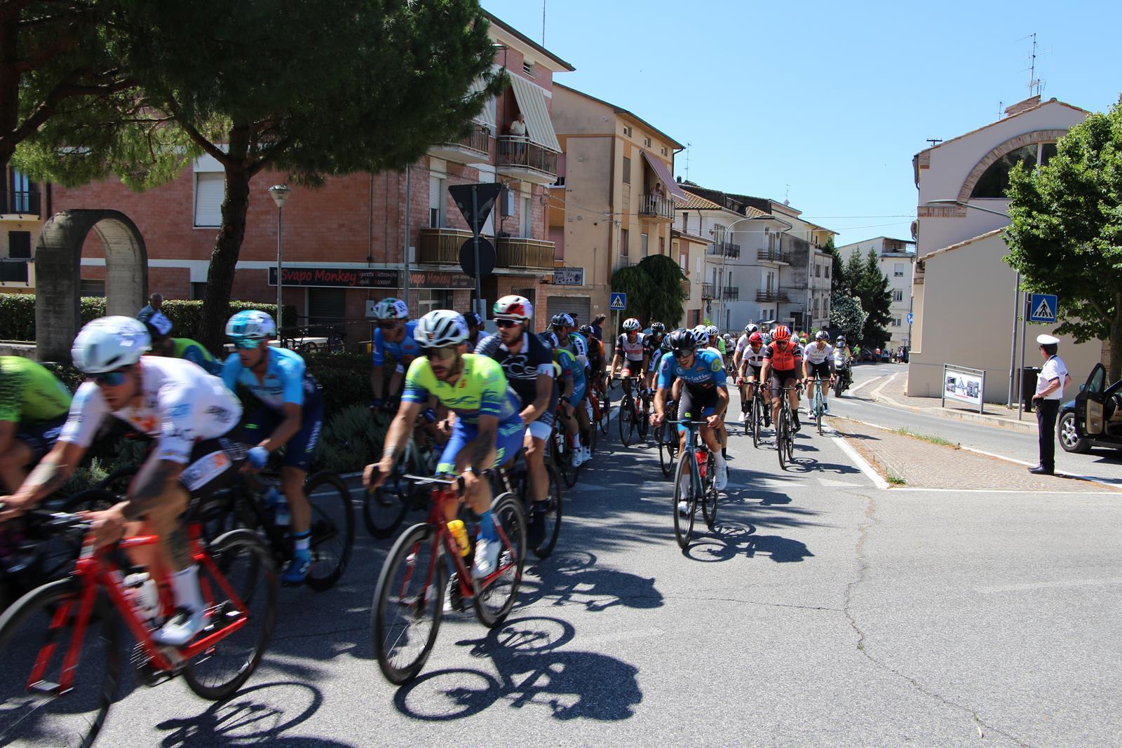 IMG_4779
